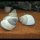 Weiße Flußschnecke Filopaludina martensi 5 Stück - Pianoschnecke