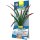 Tetra DecoArt Plantastics Premium Dragonflame - M / 24 cm