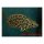 Ctenopoma acutirostre - Leopard-Buschfisch