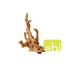 AQUA DELLA Coffee Root -1 - helle Wurzel