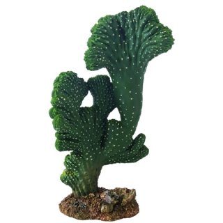 Hobby Kaktus Victoria 2 H&ouml;he 22 cm