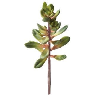 Hobby Kalanchoe Höhe 20 cm künstliche Terrarienpflanze