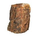 Hobby Steinholz L 2,2 - 4,0 kg - versteinertes Holz