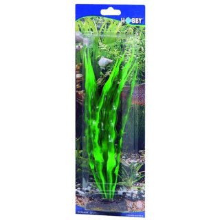 Hobby Crinum 29 cm,  täuschend echt wirkende Aquarienpflanze
