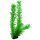 Hobby Egeria 34 cm, täuschend echt aussehende Aquarienpflanze