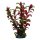Hobby Rotala 16 cm, täuschend echt aussehende Aquarienpflanze