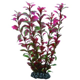 Hobby Ludwigia 25 cm, t&auml;uschend echt aussehende Aquarienpflanze