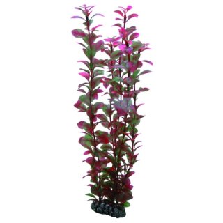 Hobby Ludwigia 34 cm, täuschend echt wirkende Aquarienpflanze