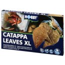 Hobby Catappa Leaves XL 12 St., Seemandelbaumbl&auml;tter