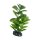 Hobby Saururus 16 cm,  täuschend echt aussehende Aquarienpflanze