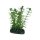 Hobby Lagarosiphon 7 cm, t&auml;uschend echt aussehende Kunststoffpflanze