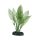 Hobby Aponogeton 16 cm, t&auml;uschend echt aussehende Aquarienpflanze