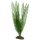 Hobby Aponogeton 39 cm,  täuschend echt wirkende Aquarienpflanze